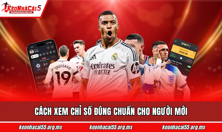 Cách xem chỉ số đúng chuẩn cho người mới