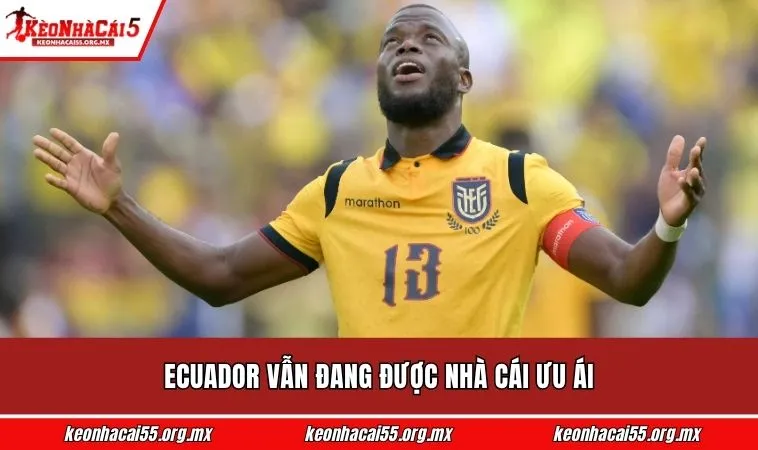 Ecuador vẫn đang được nhà cái ưu ái