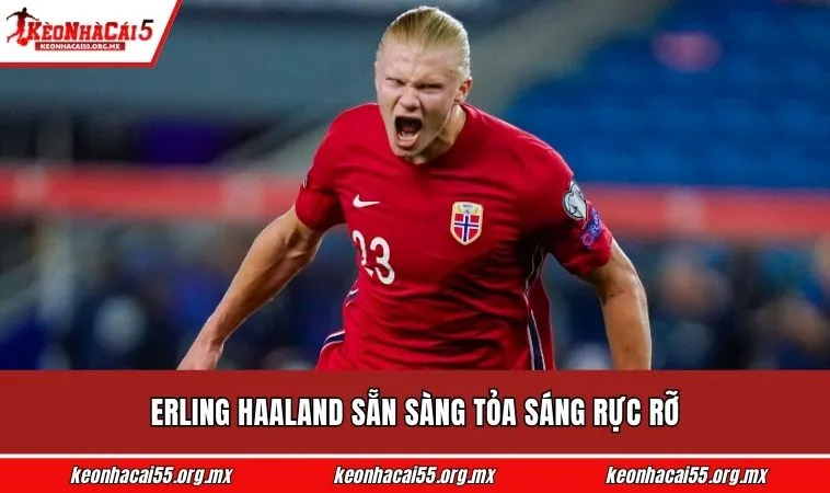 Erling Haaland sẵn sàng tỏa sáng rực rỡ 