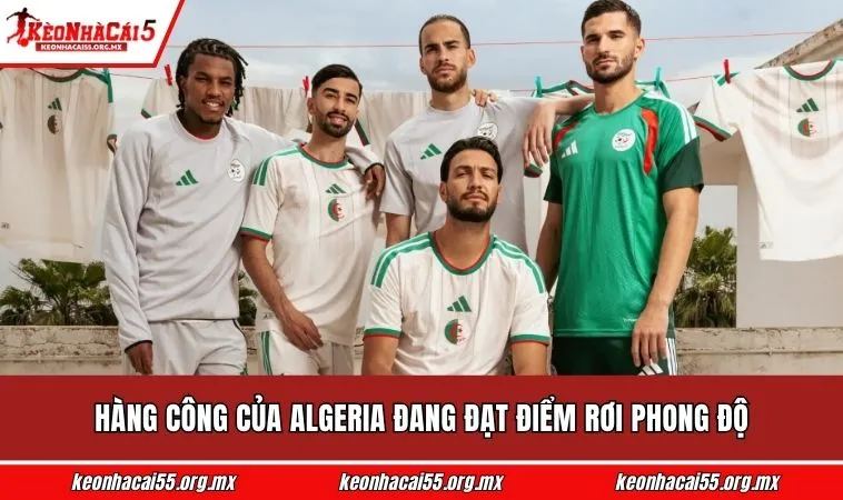 Hàng công của Algeria đang đạt điểm rơi phong độ 