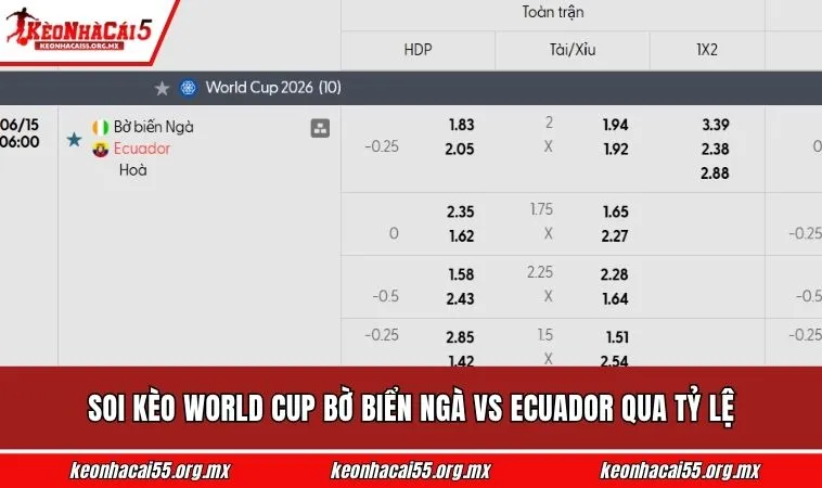 Soi kèo World Cup Bờ Biển Ngà vs Ecuador qua tỷ lệ