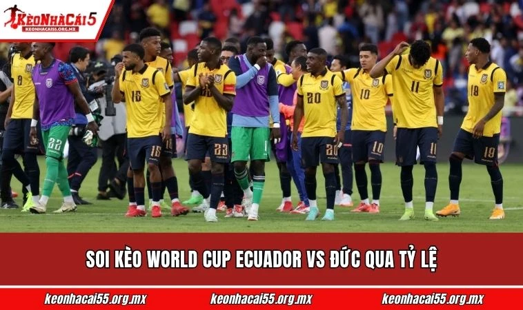 Soi kèo World Cup Ecuador vs Đức qua tỷ lệ