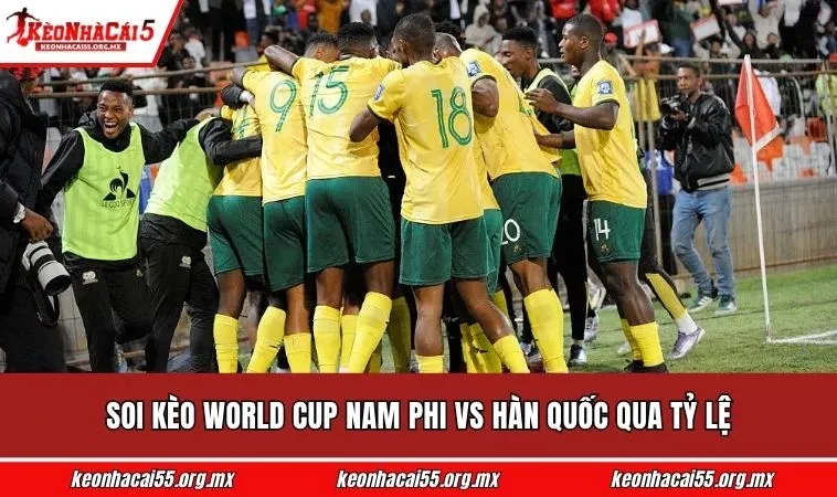 Soi kèo World Cup Nam Phi vs Hàn Quốc qua tỷ lệ