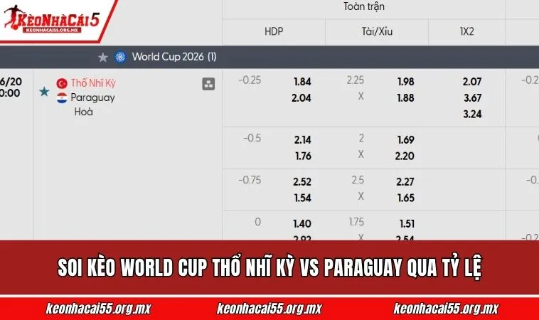 Soi kèo World Cup Thổ Nhĩ Kỳ vs Paraguay qua tỷ lệ