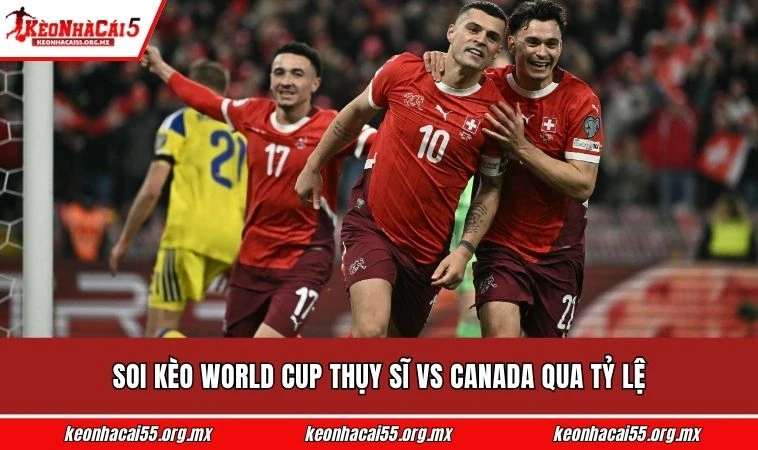 Soi kèo World Cup Thụy Sĩ vs Canada qua tỷ lệ