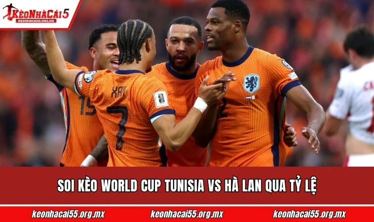 Soi kèo World Cup Tunisia vs Hà Lan qua tỷ lệ