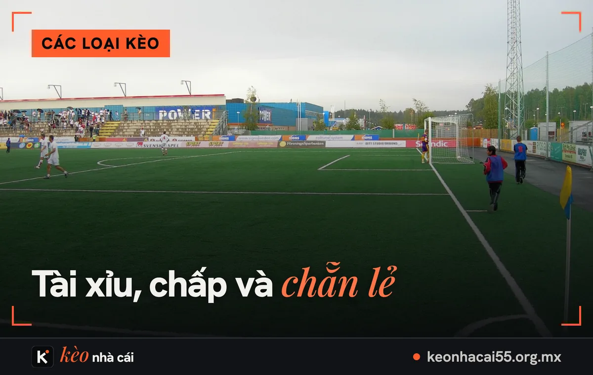 Góc sân có cờ phạt góc và vạch vôi trắng, các dạng kèo phạt góc