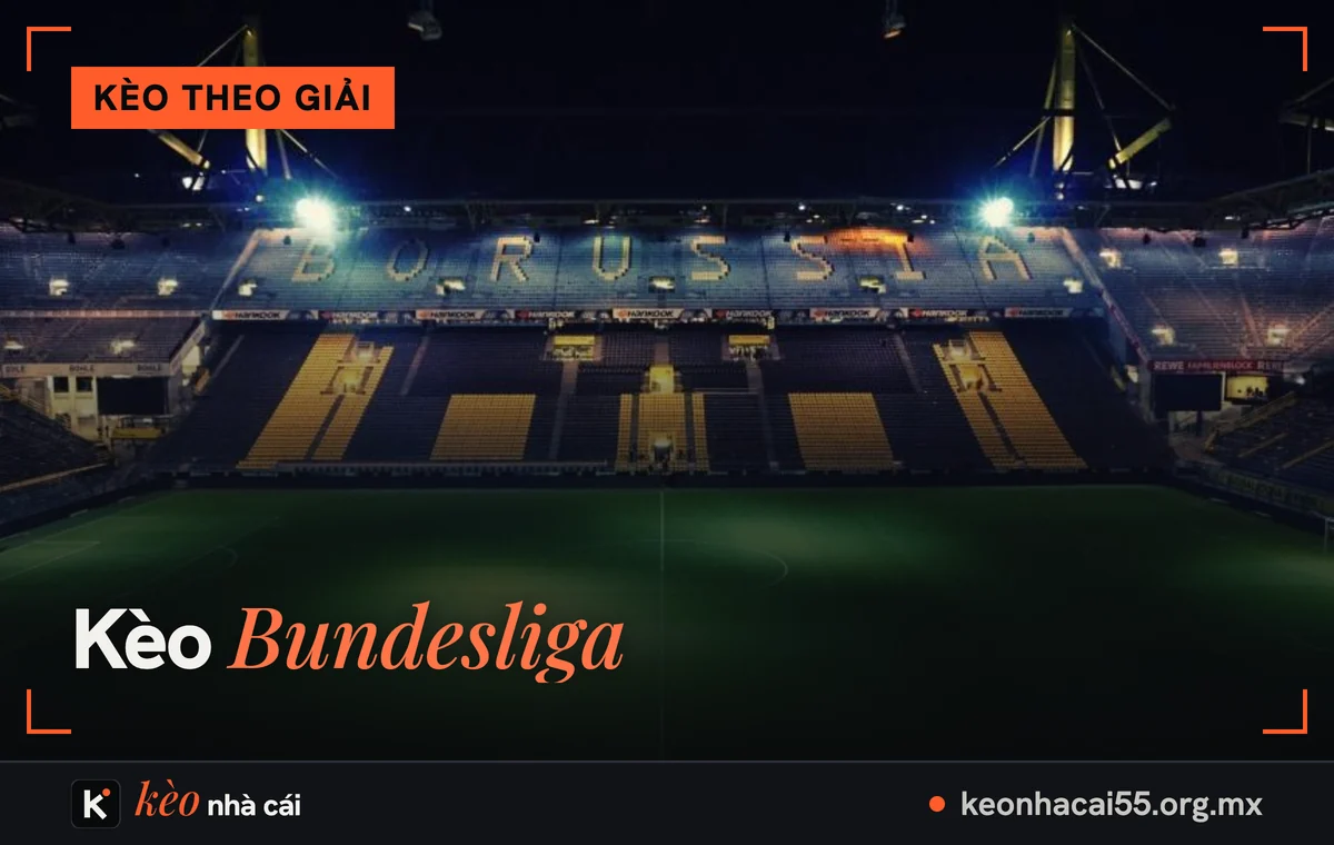 Kèo Bundesliga: khán đài đứng vàng đen của một sân bóng về đêm