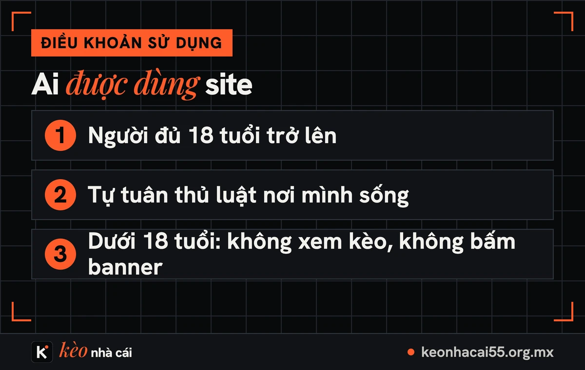 Ba điều kiện về người được dùng site trong điều khoản sử dụng