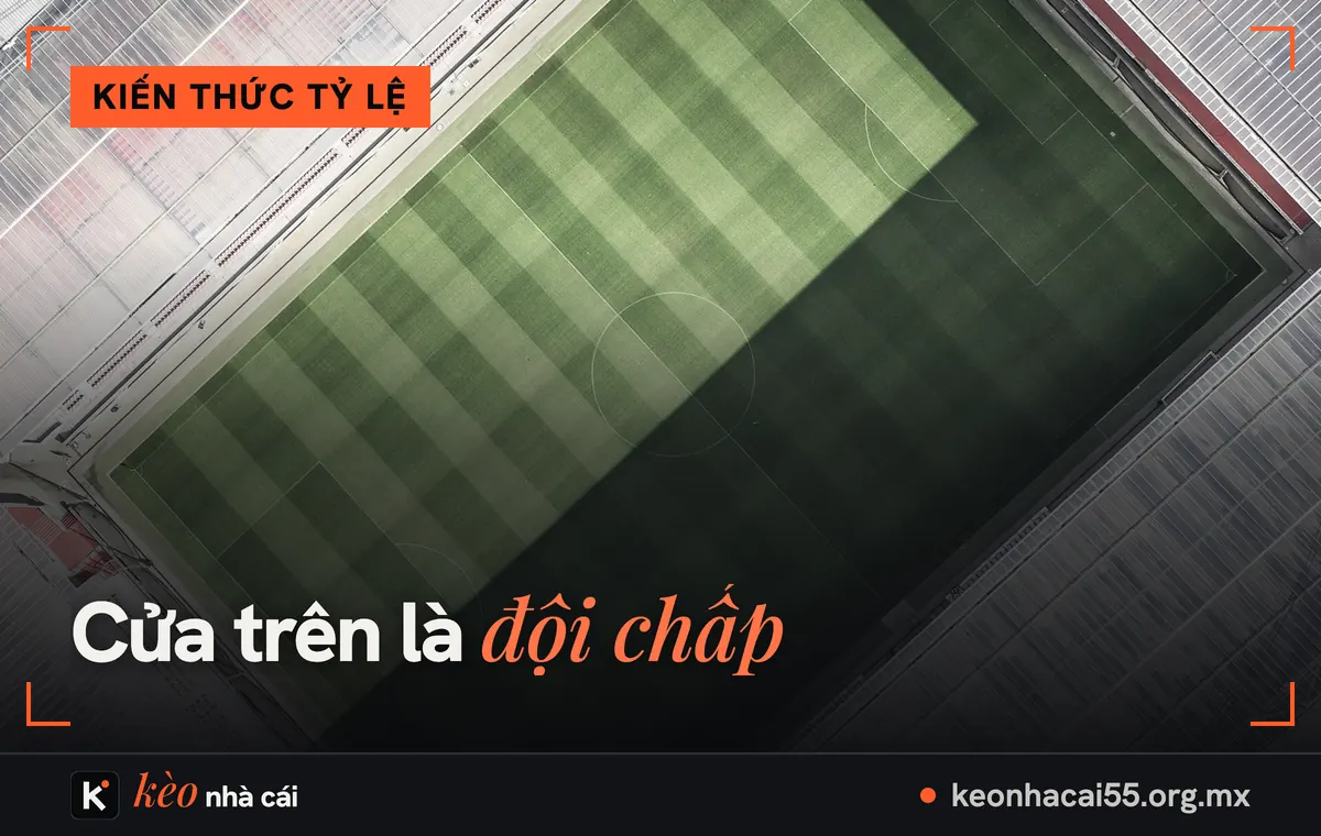 Kèo trên kèo dưới là gì? Cách nhận biết cửa trên, cửa dưới trên bảng kèo 1 Mặt sân nhìn thẳng từ trên cao, kèo trên kèo dưới là gì