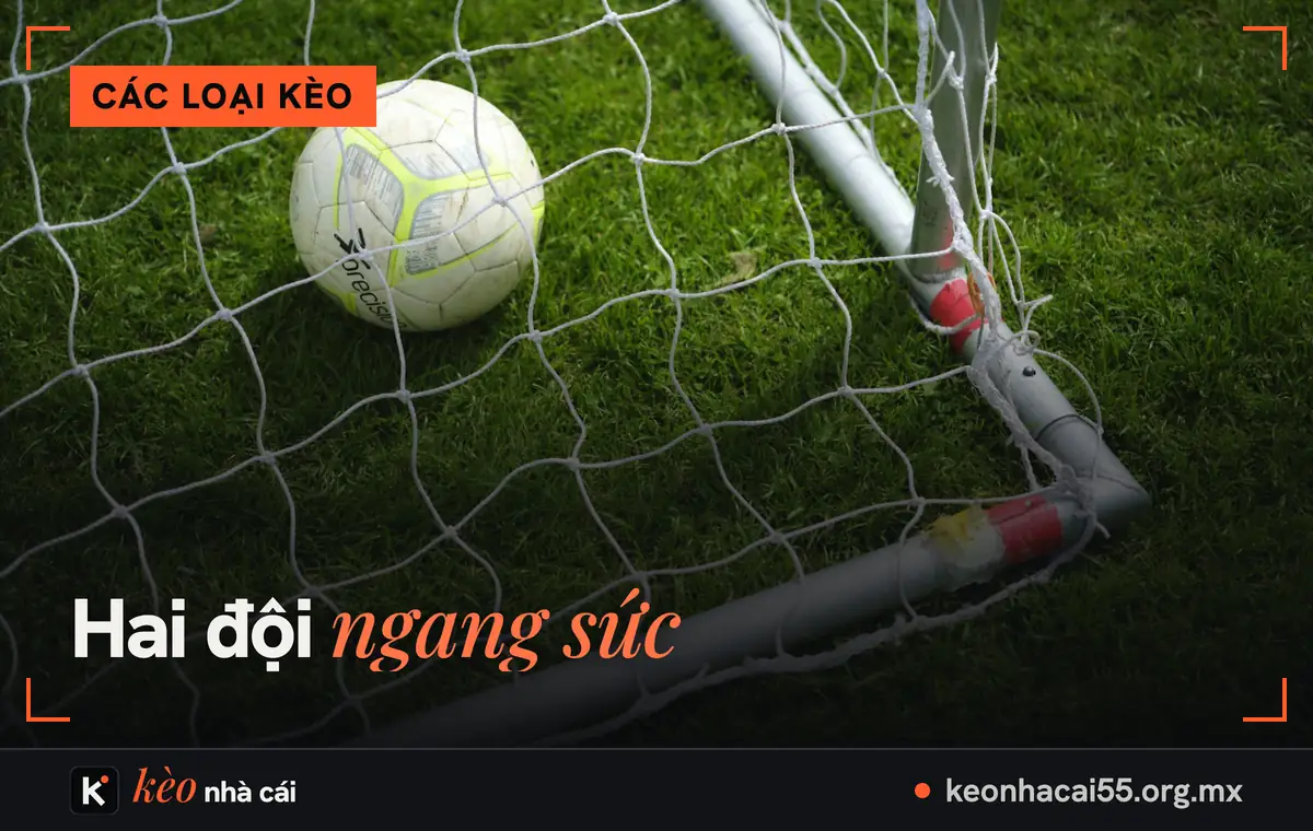 Kèo đồng banh là gì? Kèo chấp 0, hòa hoàn tiền và cách tính qua ví dụ 1 Quả bóng lăn vào góc lưới, kèo đồng banh khi hai đội ngang sức
