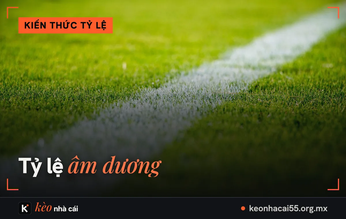 Tỷ lệ âm dương: vạch vôi trắng trên mặt cỏ